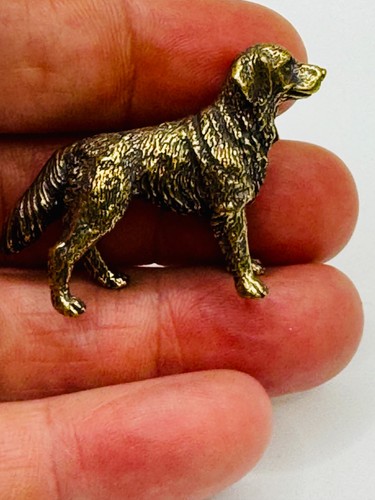 Solid brass labrador retriever - solid,