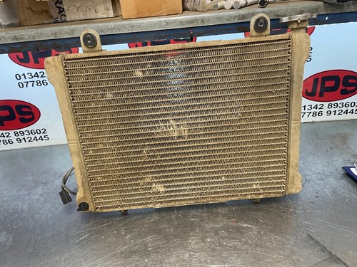 Coolant radiator polaris - radiator, x