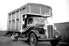 THH Truck Photos - Livestock.