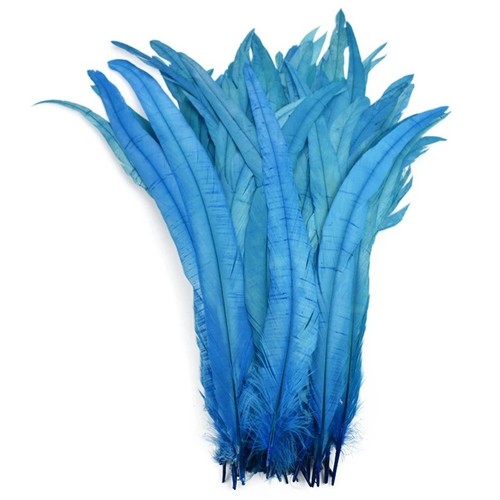 Long rooster tail feathers - long,