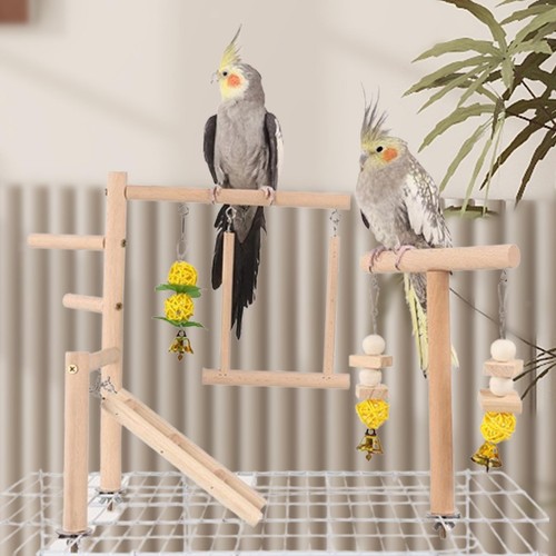 Parrot playground supplies - parrot,