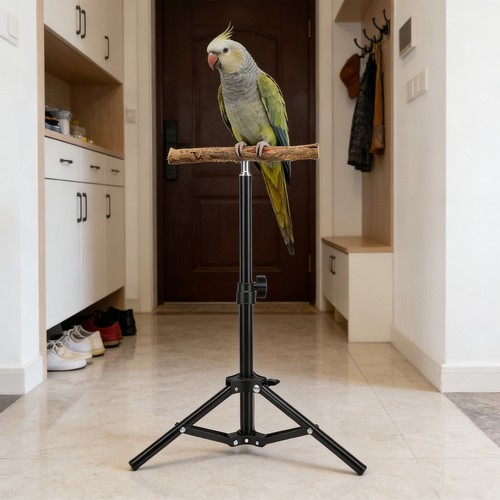 Multifunctional bird training - multifunctional,