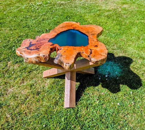 Yew tree live edge side - edge,