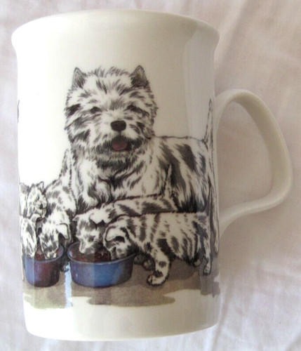 Westie terrier mum pups - terrier,