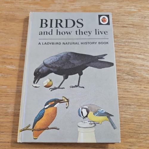 Birds and how - birds, live