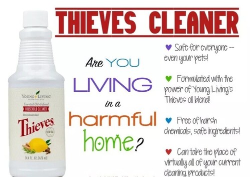Young living thieves household - living,