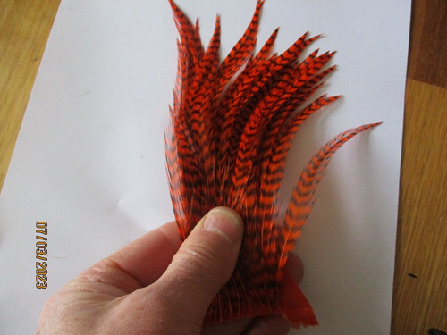 Woolly bugger hackle - bugger,