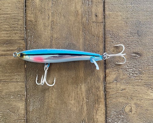 New rainbow minnow - new, 4'