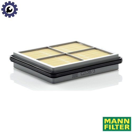 Air filter 2138 for rover - air, c