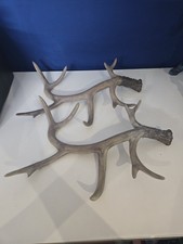 Pair Of Large Red Deer Stag