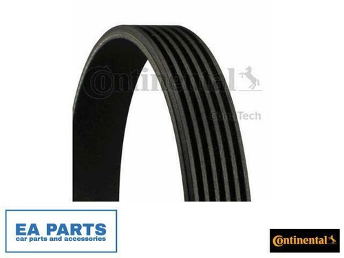 Ribbed belts for vw - v-ribbed,