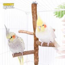 Natural Wood Bird Branch Stand Perches Pet Parakeet Budgie Hanging Play Toy Bird