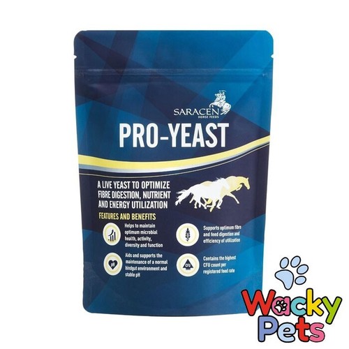 Horse pony digestive - pony,