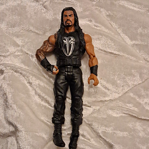 Professional wrestler roman - professional,