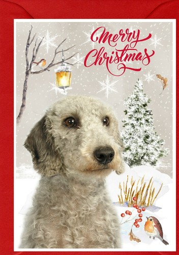 Bedlington terrier dog 4 x - a6, (4"x
