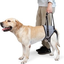 Dotoner Dog Lifting Support