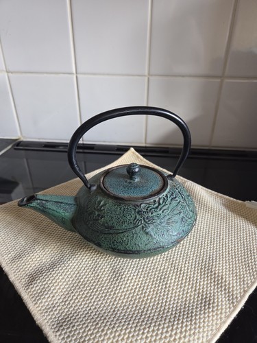 Japanese cast iron - cast, teapot