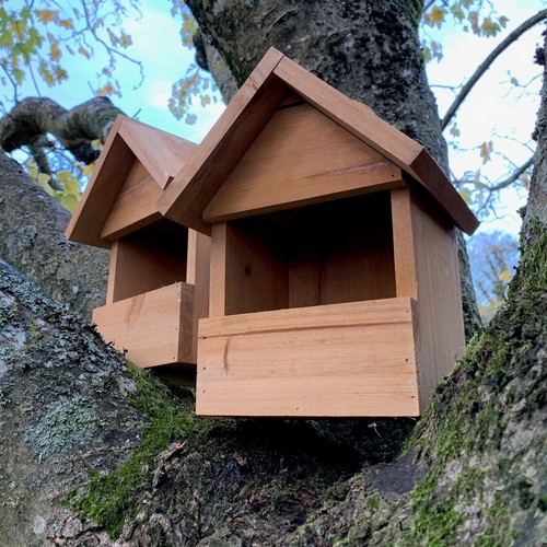 Large wooden robin - wooden, house
