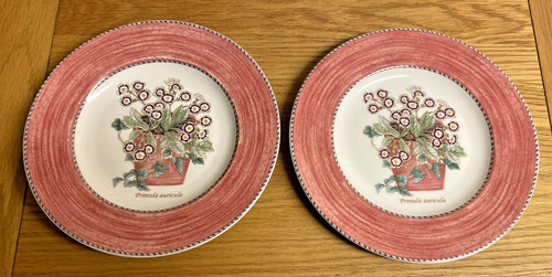 Wedgwood sarah s garden - wedgwood,