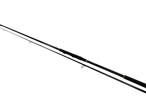Daiwa infinity 12ft - 1x, mt