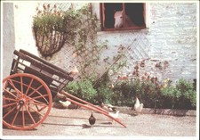 Vintage john hinde irish - hinde,