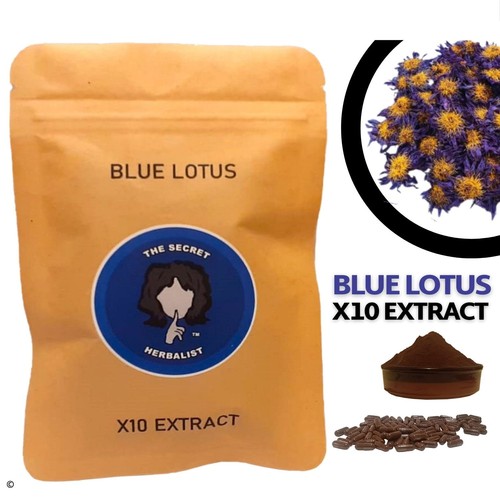 Blue lotus nelumbo nucifera - lotus,
