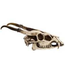 Goat Skull Ornament Model Animal Decorative Craft Triceratops Head Wall Art