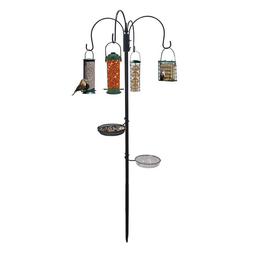 New traditional bird feeding - new,