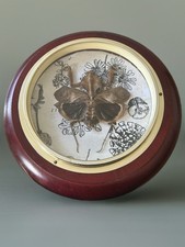 taxidermy dead leaf mantis (Deorplatys desiccate) in vintage circular frame 
