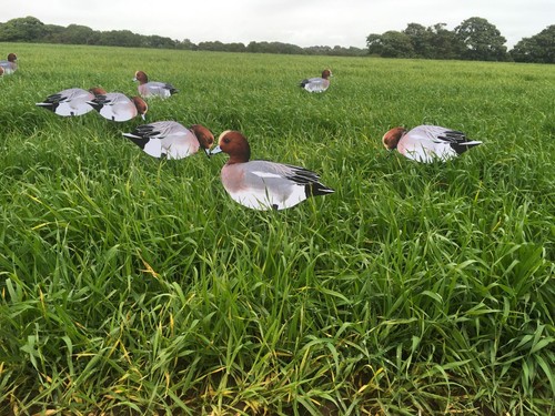 Wigeon silhouette decoys x12 - silhouette,