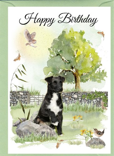 Patterdale terrier dog x - terrier, (4"x