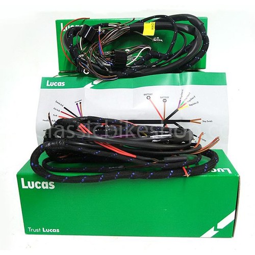 Lucas main wiring - main,