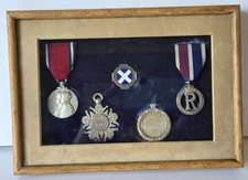 Named Nursing Medal & Badge