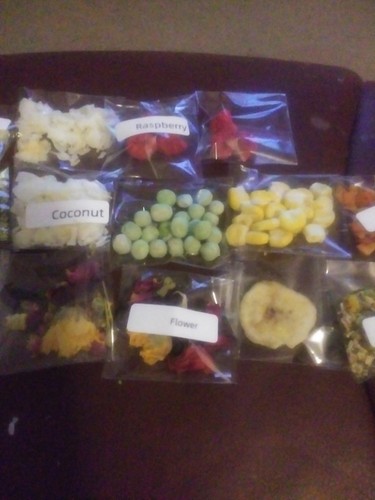 Land hermit crab food - land,