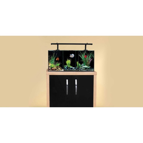 Aqua one betta trio glass - one,