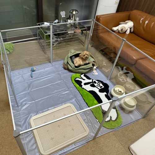 Panels premium acrylic dog - panels,
