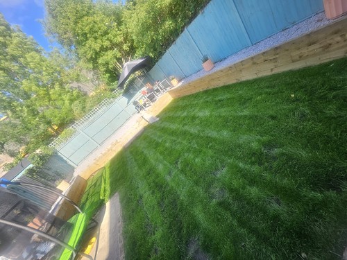 Qualcast panther 30s push - 30s, lawn
