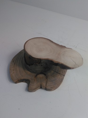 Level wood slice rustic - wood,