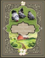 The Visual Guide to the Silver