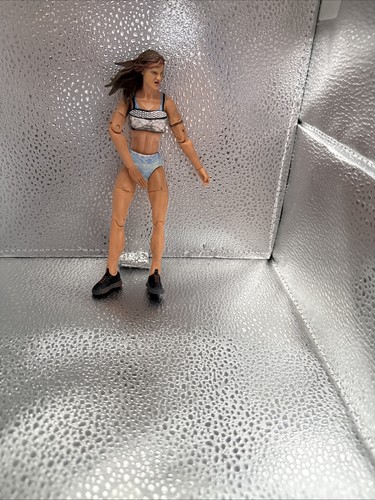 Wwe lita action - wwe,
