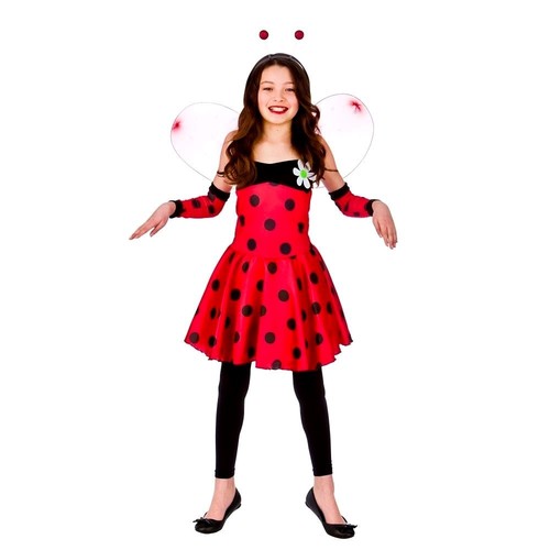 Child lovely ladybug ladybird - lovely,