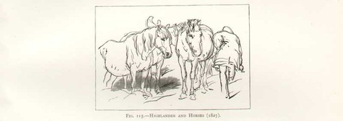 Original old antique print - original,