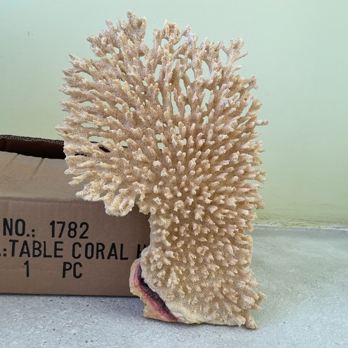 Coral half table - half,