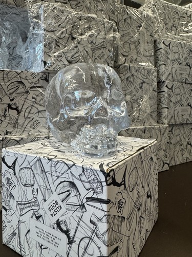 Kosta boda skull - kosta,
