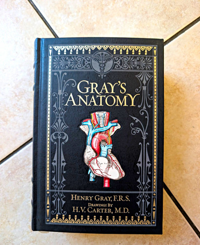 Gray anatomy henry - gray's,