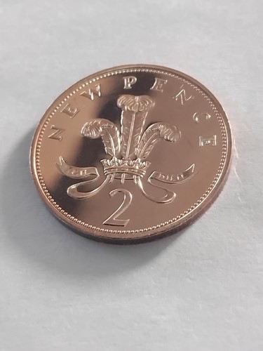 1971 proof feathers two - proof, 2p