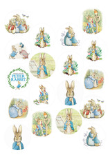 Peter Rabbit Cupcake Edible