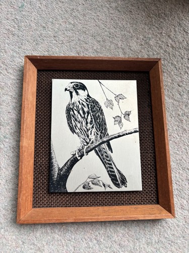 Vintage 1970s falcon bird - vintage,