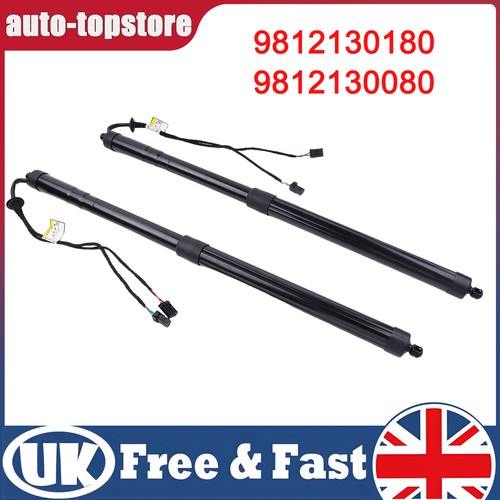 Left right electronic tailgate - electronic,
