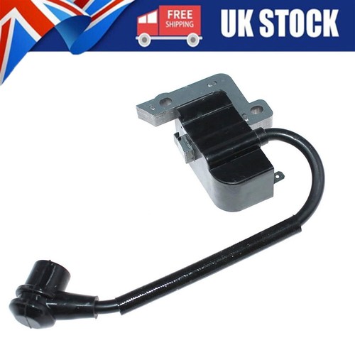 Ignition coil for echo - ignition,